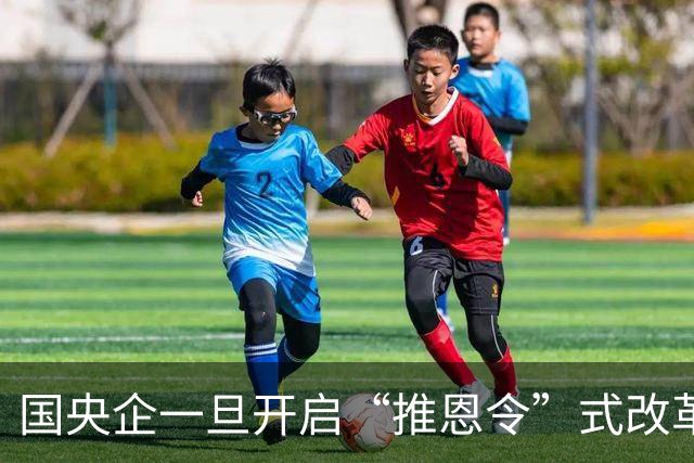 国央企一旦开启“推恩令”式改革，体制内人就该警惕了